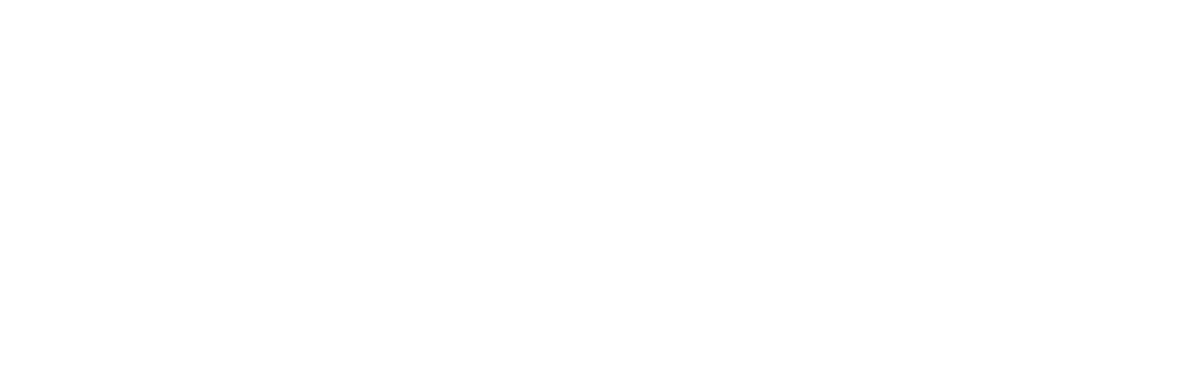 Cortex Novo