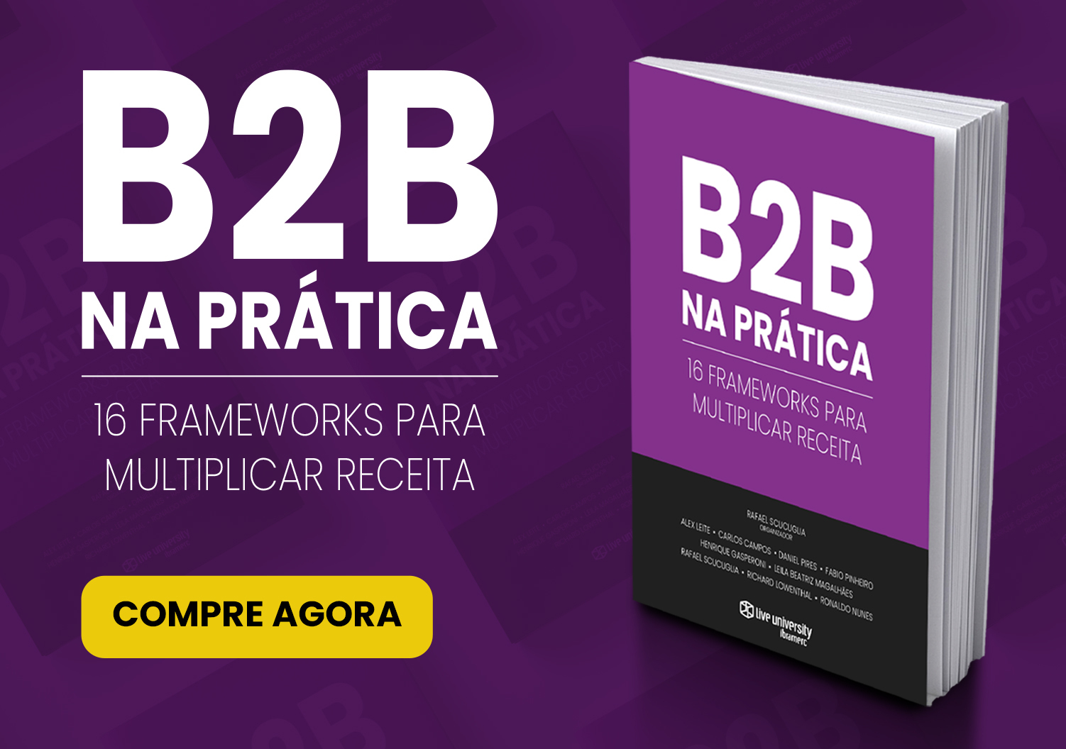 capa_livro2